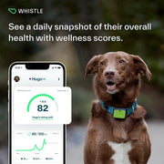 Go Explore/The Ultimate Health + GPS Location Tracker for Pets/Green (100-04202-00)