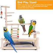 Parrots Playground, Natural Wooden Bird Perch Bird Play Stand Bird Play Gym Bird Toys Accessories with Stainless Steel Feeding Stair Swing for Parrots, Finches # 2