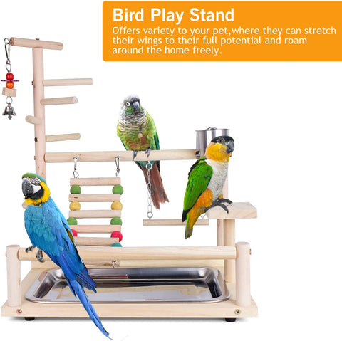 Parrots Playground, Natural Wooden Bird Perch Bird Play Stand Bird Play Gym Bird Toys Accessories with Stainless Steel Feeding Stair Swing for Parrots, Finches # 2