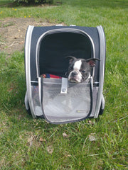 Dog Backpack Carrier, Well-Ventilated Design, Comfortable Dog Carrier with Cushion with Extra Pockets, Great for Hiking