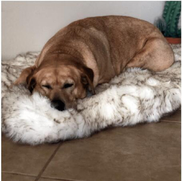 Luxurious Plush Pet Snuggle Blanket