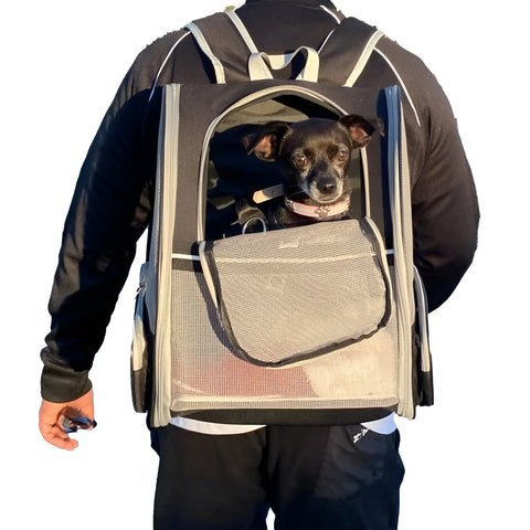 Dog Backpack Carrier, Well-Ventilated Design, Comfortable Dog Carrier with Cushion with Extra Pockets, Great for Hiking