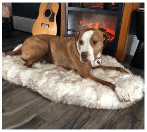 Luxurious Plush Pet Snuggle Blanket