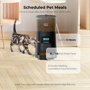 Automatic Pet Feeder