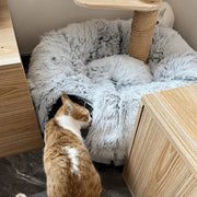 Large Cat Tunnel Bed with Fluffy Cave Tube, Removable Cushion ( for Cats, Dogs, Rabbits, and Ferrets)