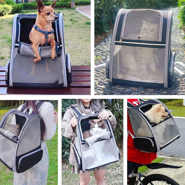 Dog Backpack Carrier, Well-Ventilated Design, Comfortable Dog Carrier with Cushion with Extra Pockets, Great for Hiking