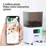 Pet Smart Feeder App Two-Way Video Language Translator