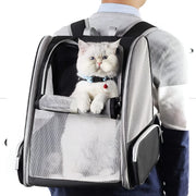 Dog Backpack Carrier, Well-Ventilated Design, Comfortable Dog Carrier with Cushion with Extra Pockets, Great for Hiking