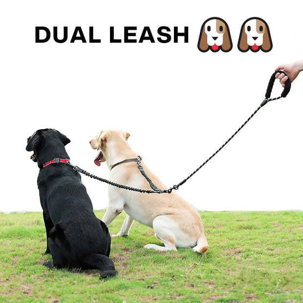 Dual Dog Leash with Bungee Stretch Line, Double Dog Leash, 360 Swivel No Tangle Walking Leash, Shock Absorbing Bungee for Two Dogs, Black, Large (25-150 Lbs)