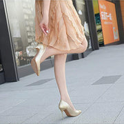 High Heeled Pumps, Pointed Toe Court Shoes, Steel Heeled Closed Toe Shoes, High Heel Dress Pumps Shoes